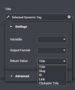 Selected Dynamic Tag return options